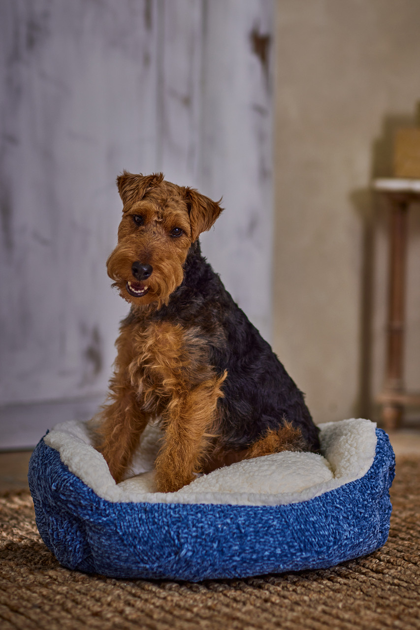 Cecilia Chenille Dog Bed