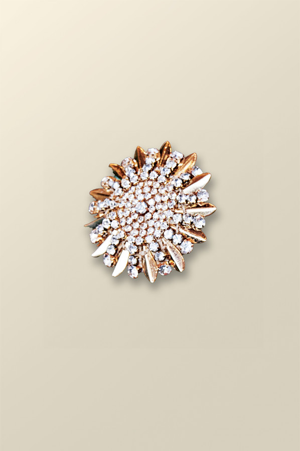 Juliana Flower Burst Brooch