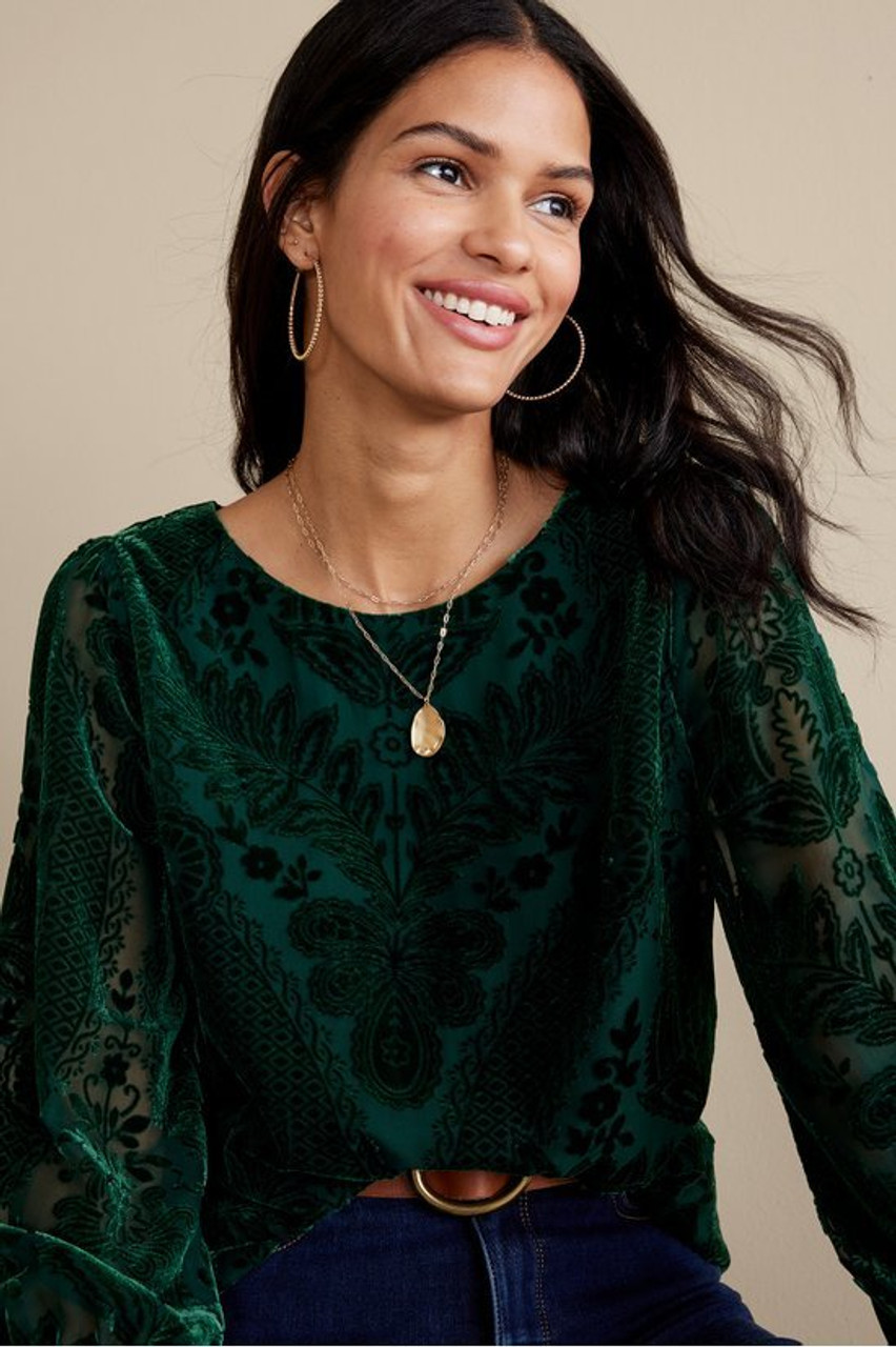 Vanetta Velvet Top   2228