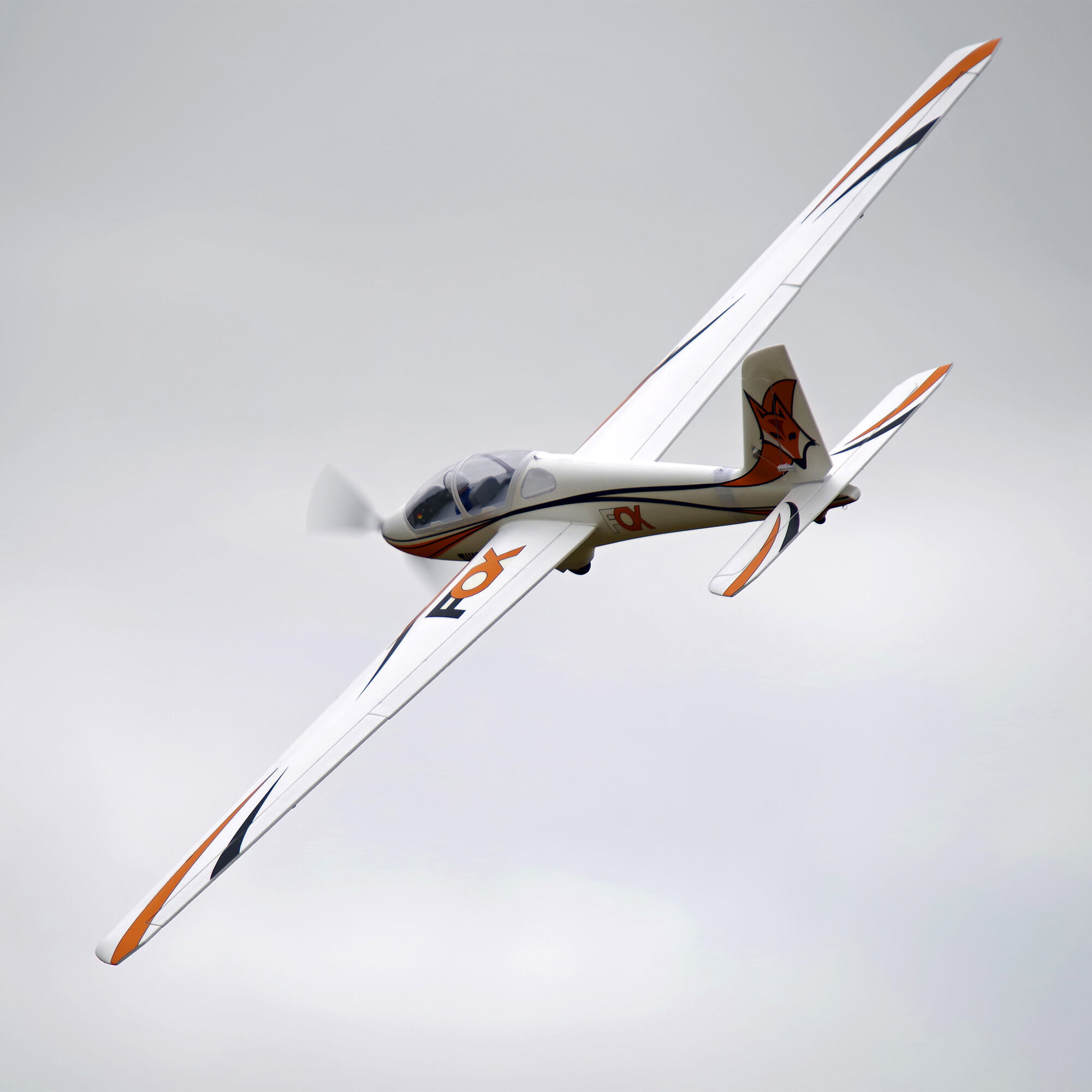 FMS Fox 3000mm Aerobatic EP Glider PNP