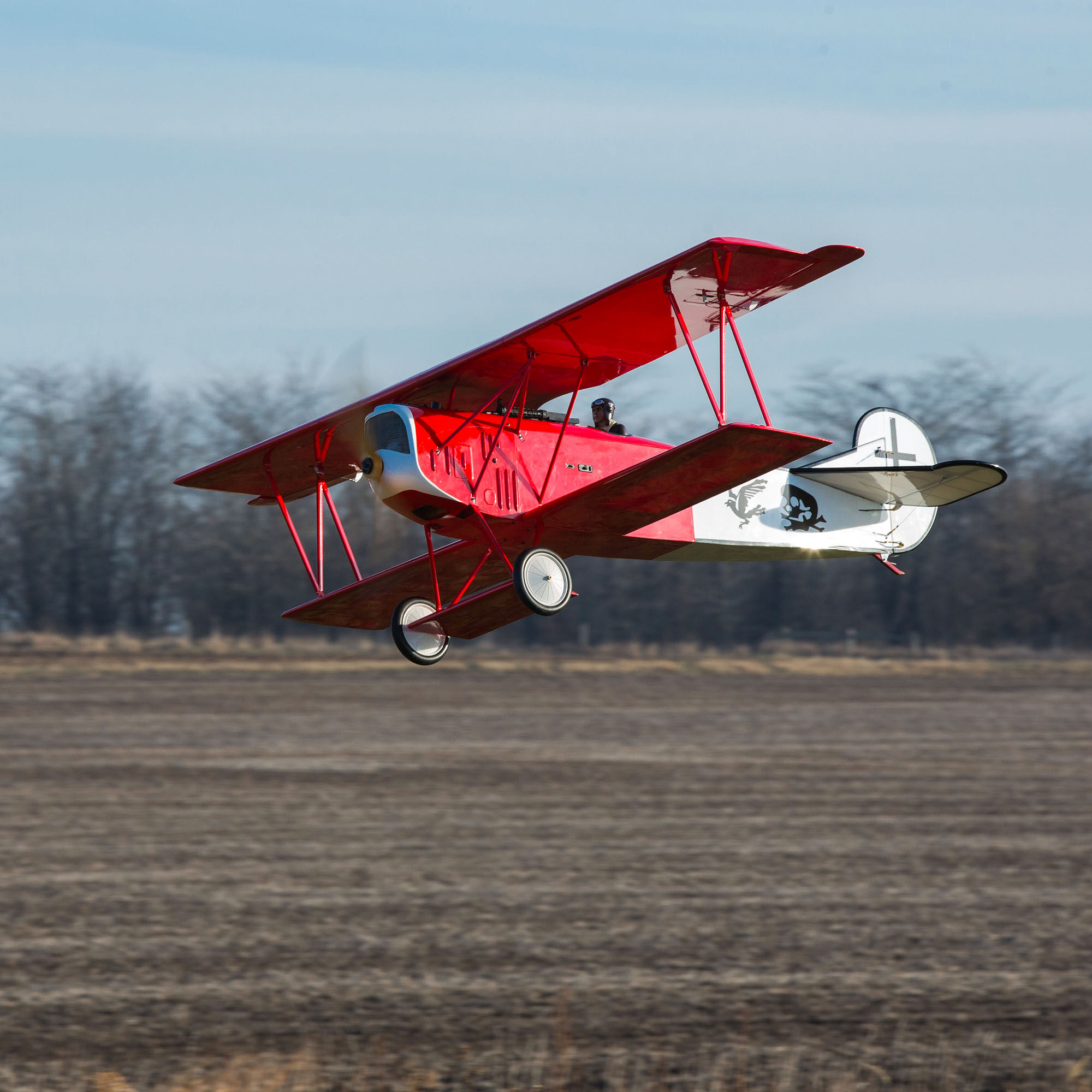 Hangar 9 Fokker D.VII 30-60cc ARF, 87"