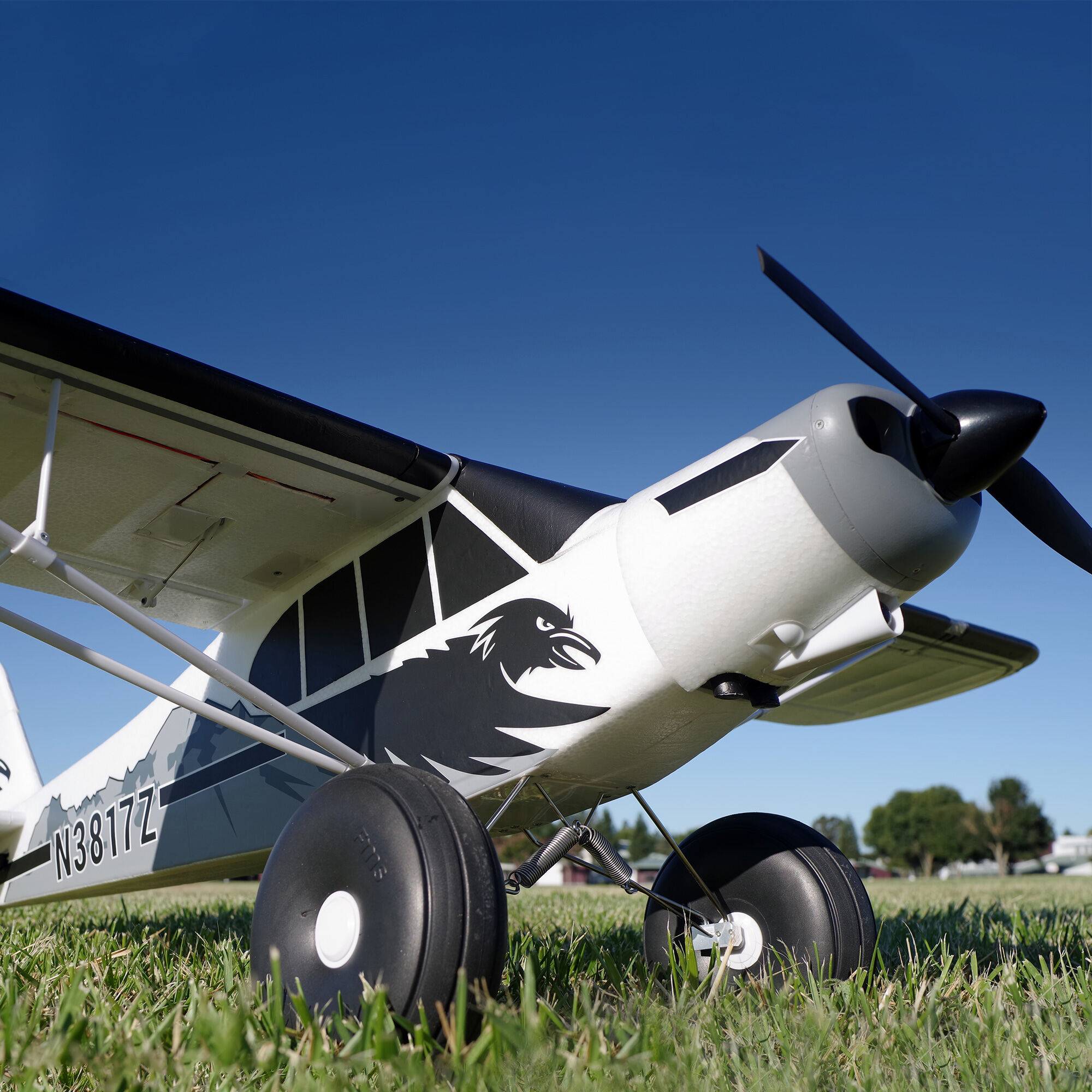 FMS PA-18 Super Cub 1700mm PNP with Floats and Reflex