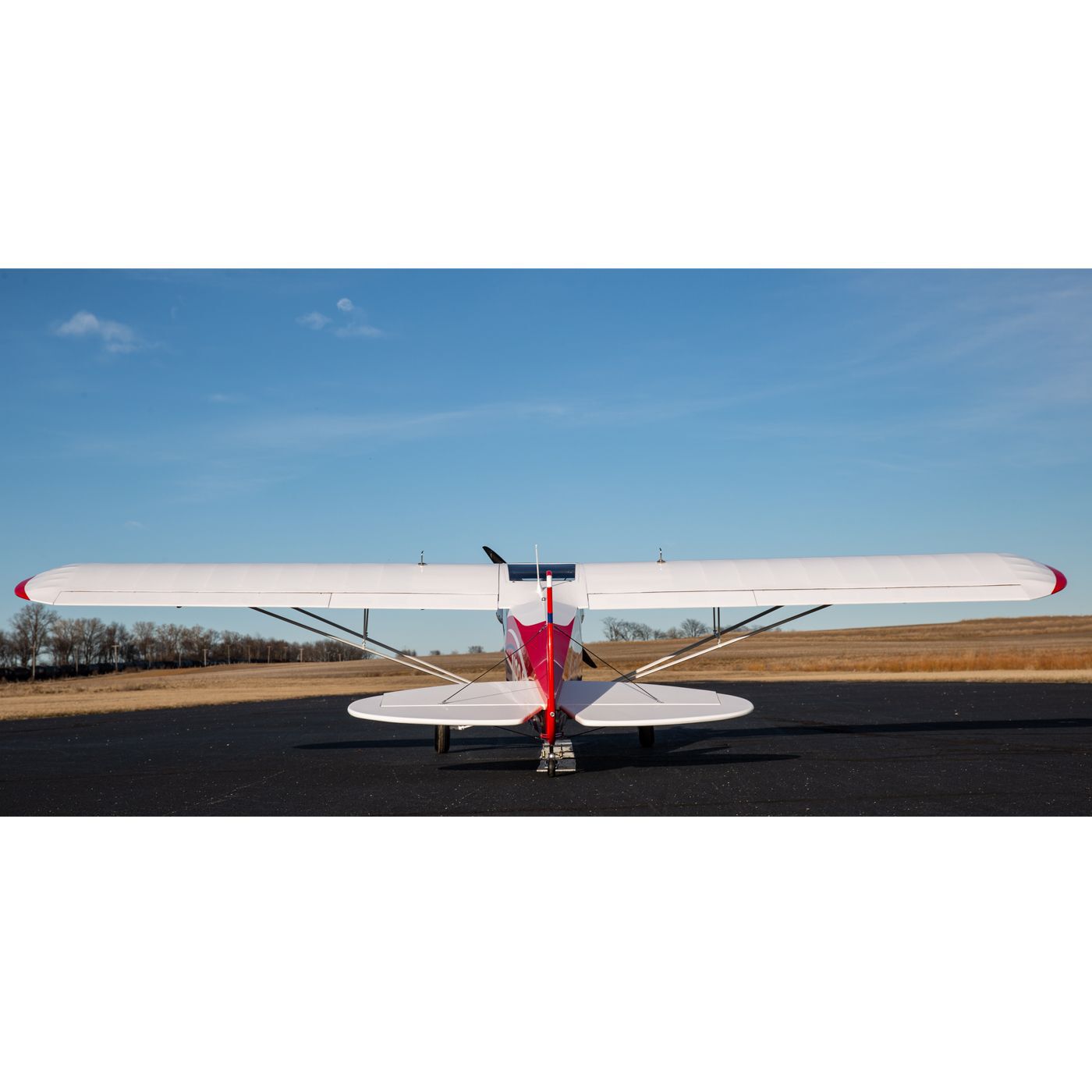 Hangar 9 CubCrafters Cub FX-3 100-200cc 165" w DLE170 170cc
