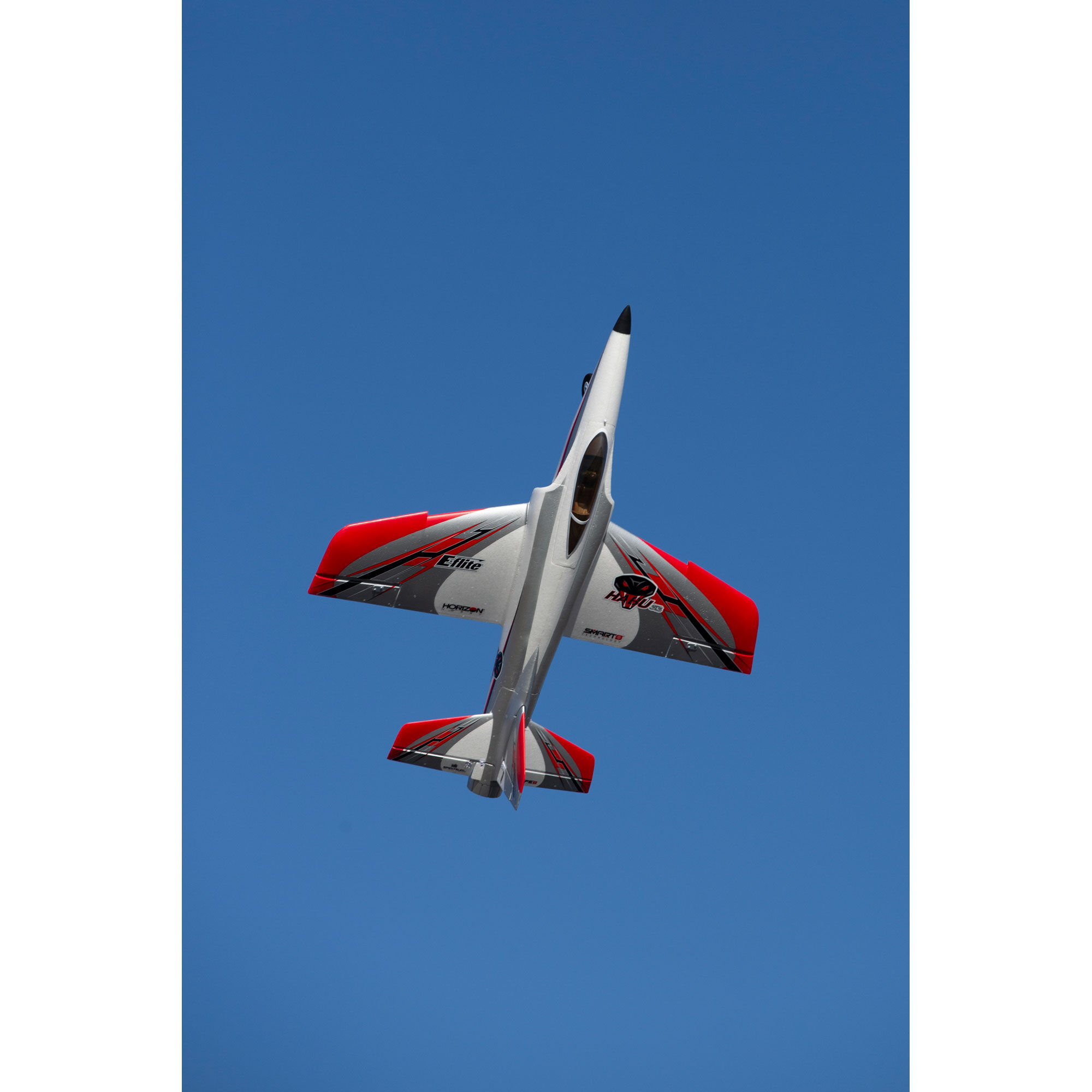 E-flite Habu STS 70mm EDF Jet RTF Basic Smart Trainer with SAFE
