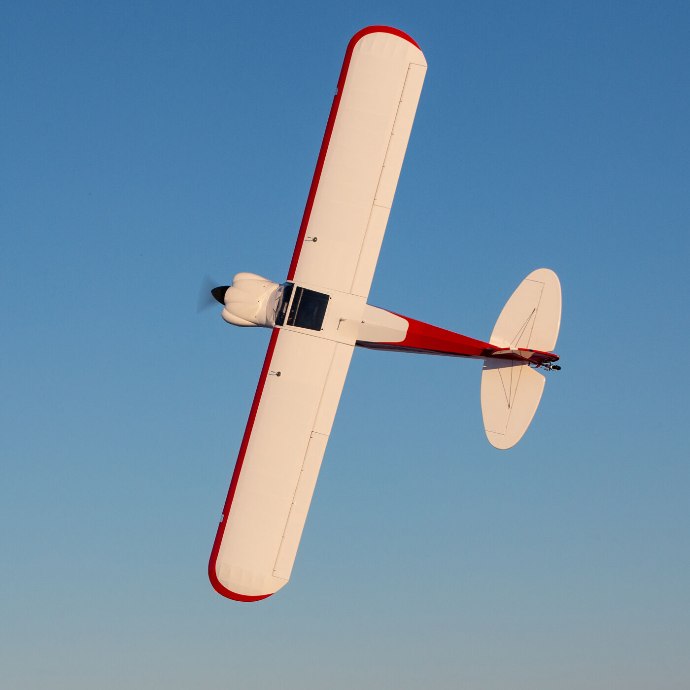 Hangar 9 CubCrafters Carbon Cub FX-3 100-200cc ARF, 165"