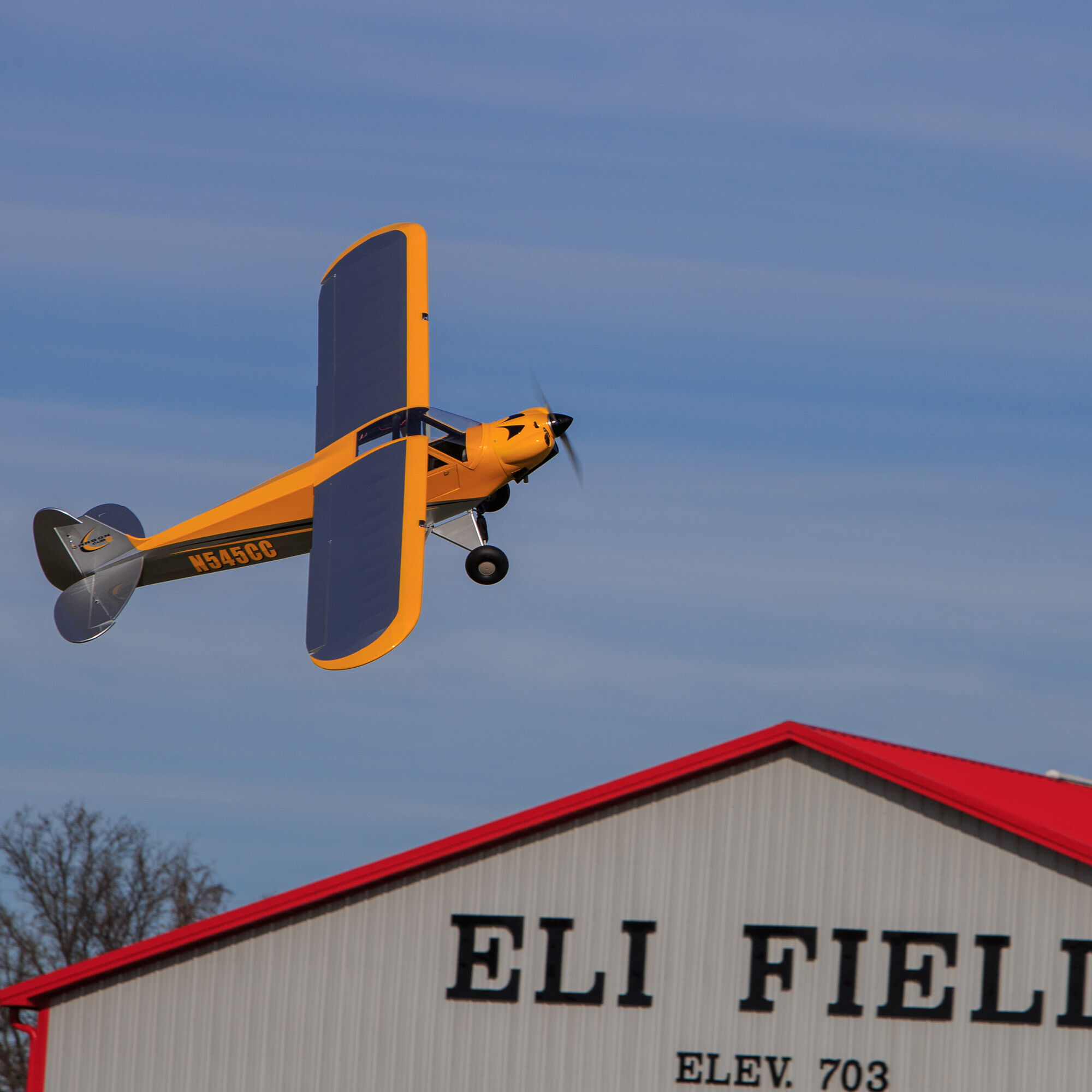 Hangar 9 Carbon Cub 15cc ARF, 90"
