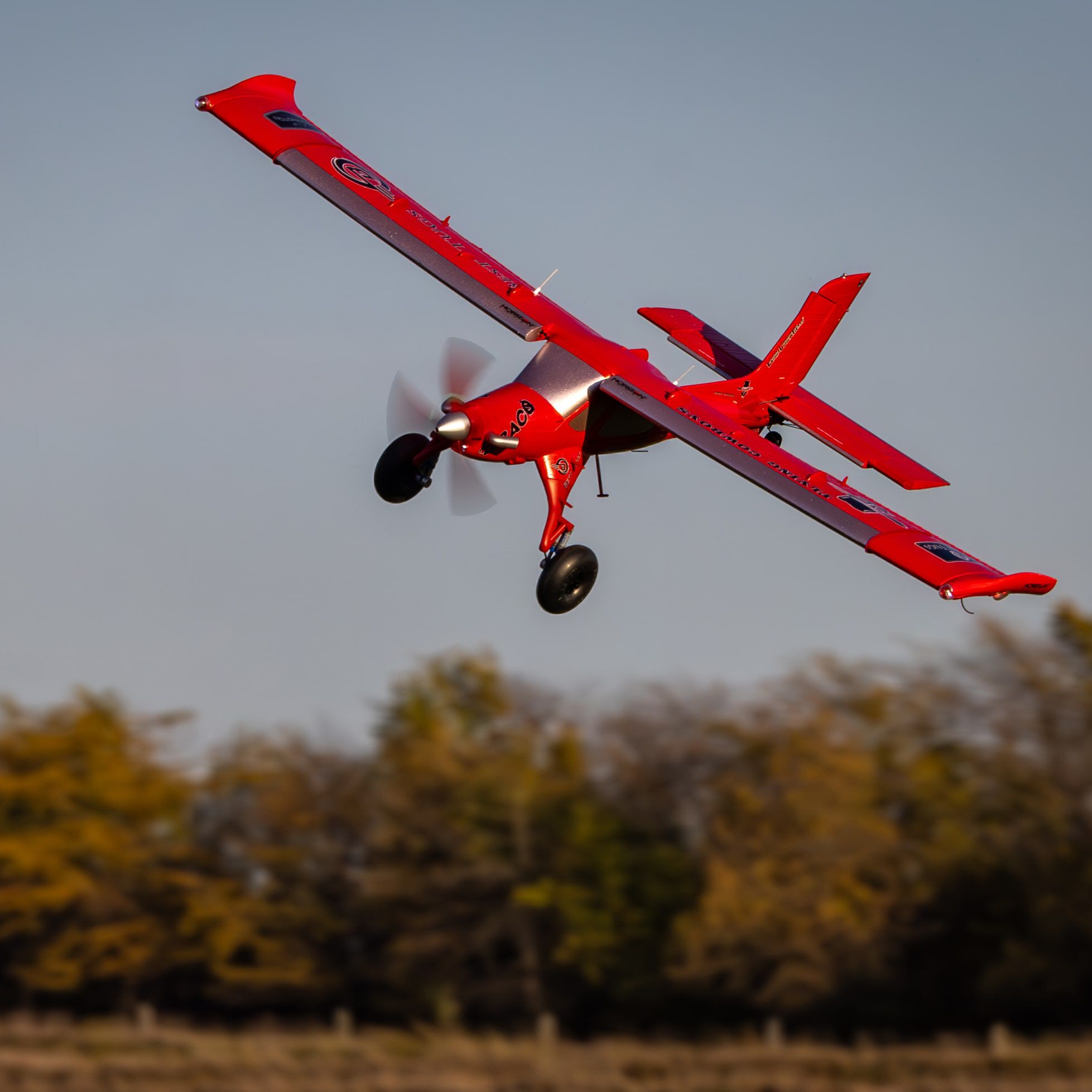 E-flite Micro DRACO 800mm BNF Basic Ultimate Combo