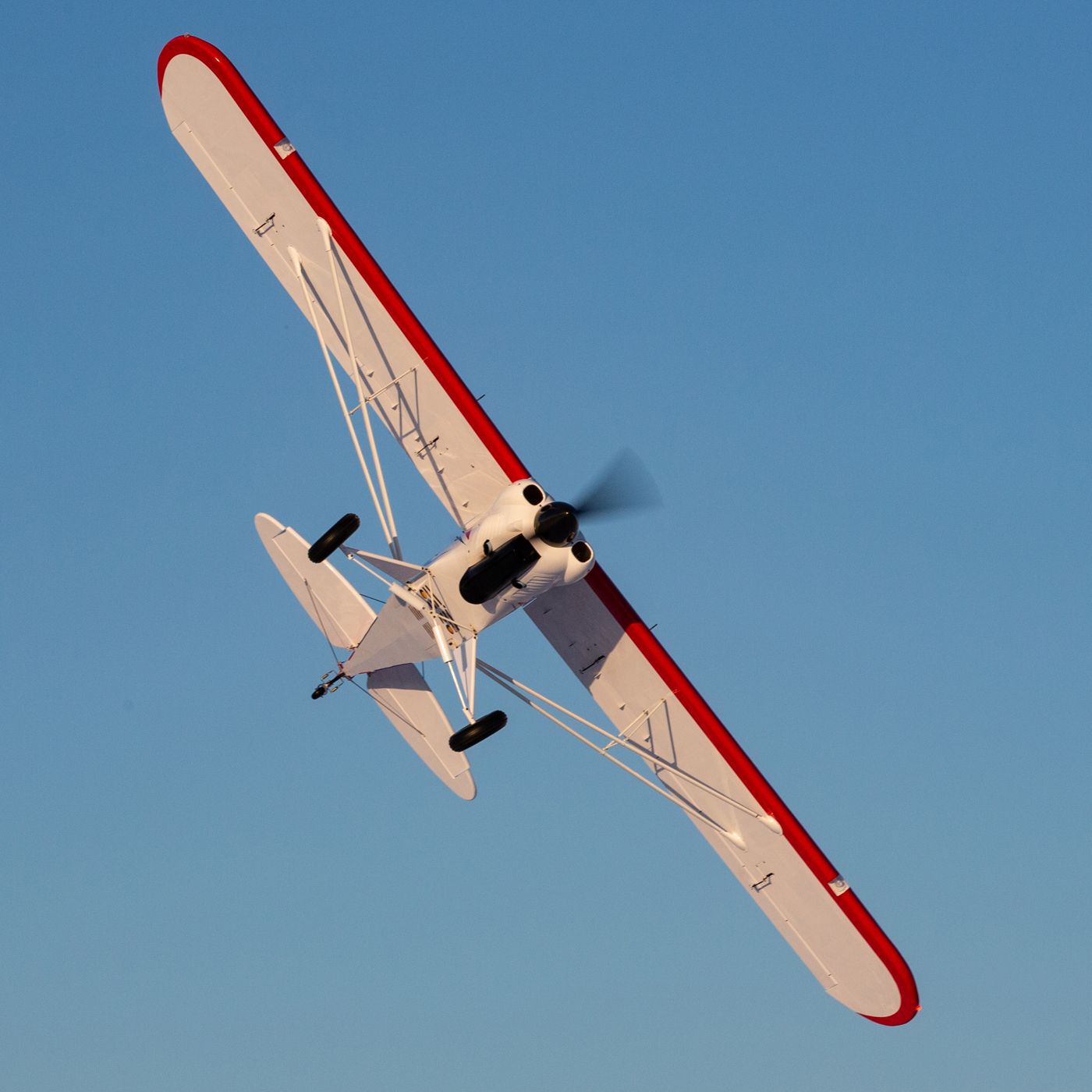 Hangar 9 CubCrafters Cub FX-3 100-200cc 165" w DLE170 170cc