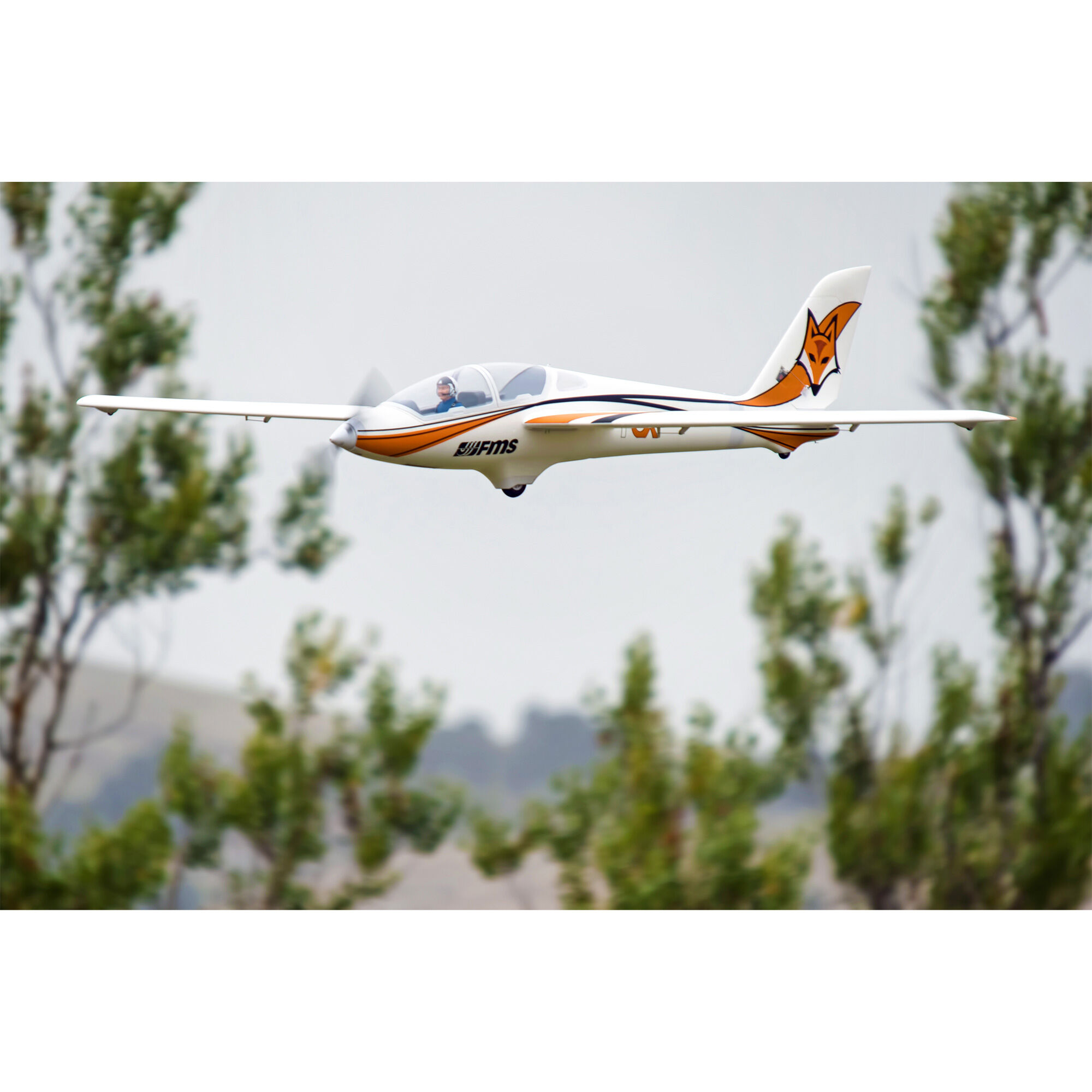 FMS Fox 3000mm Aerobatic EP Glider PNP