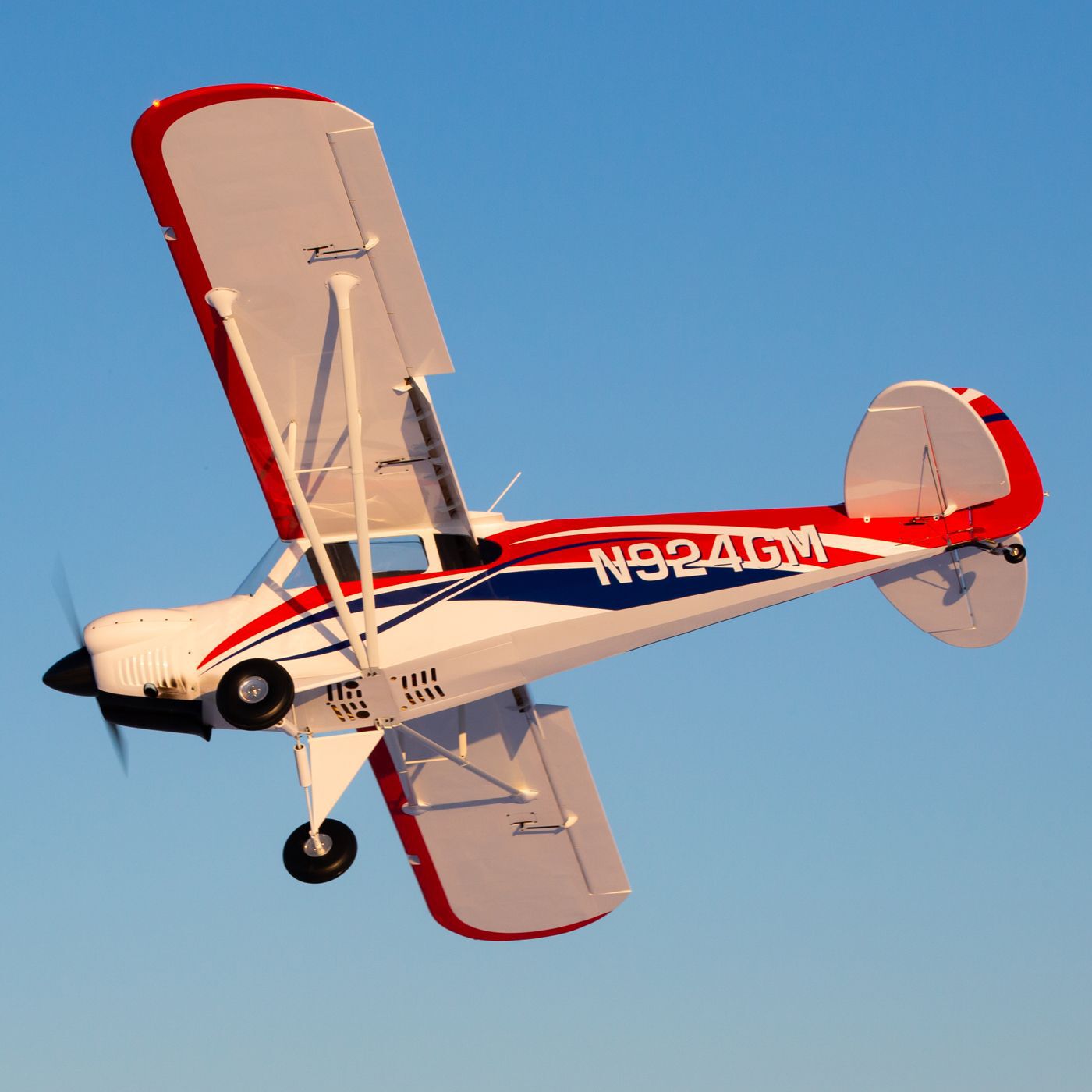Hangar 9 CubCrafters Cub FX-3 100-200cc 165" w DLE170 170cc