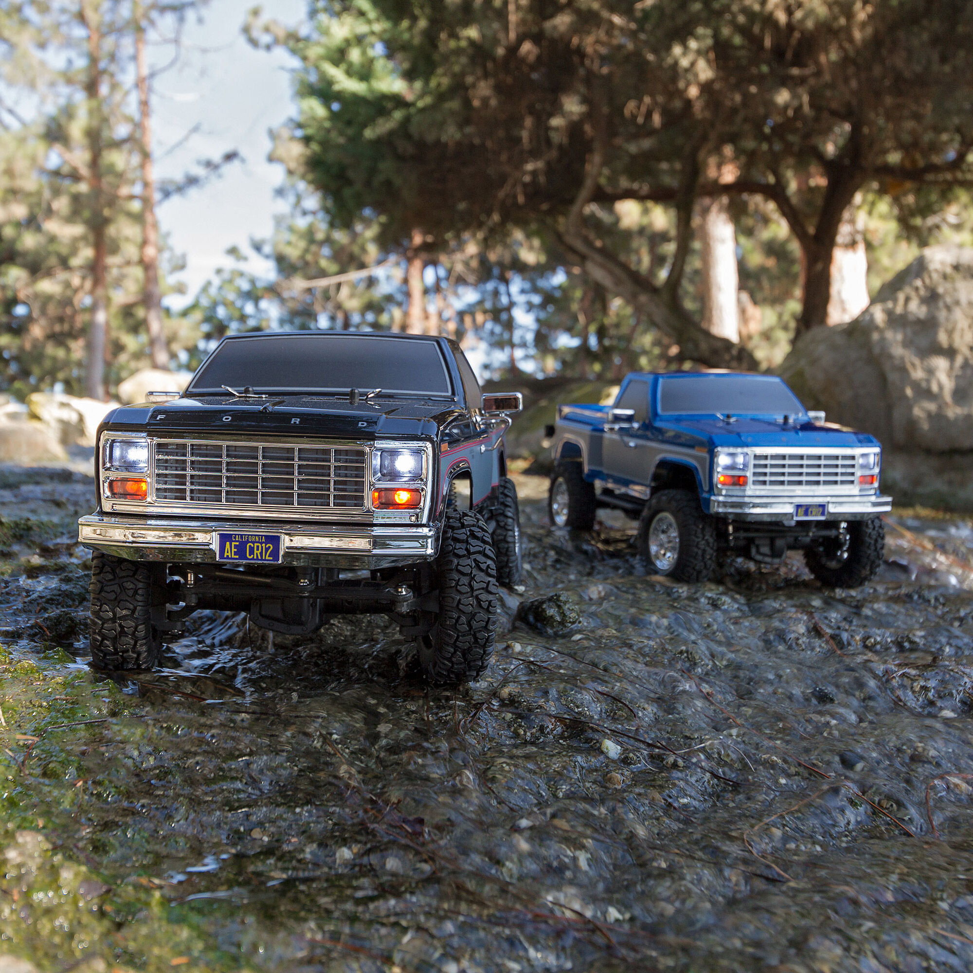 Team Associated 1/12 CR12 Ford F-150 Pick-Up 4WD Brushed RTR, Black