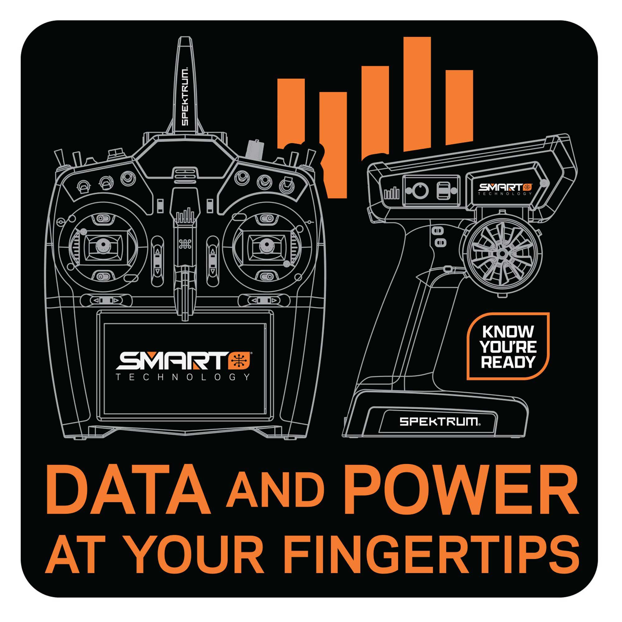 Spektrum Spektrum Data and Power Sticker