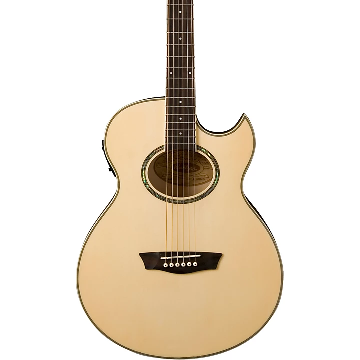 Washburn EA20 Mini Jumbo Acoustic Electric Guitar