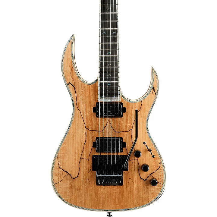 Shredzilla Prophecy Archtop with Floyd Rose Electric Guitar Spalted Maple