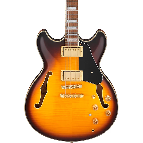 Ibanez John Scofield Signature Electric Guitar Two tone Burst