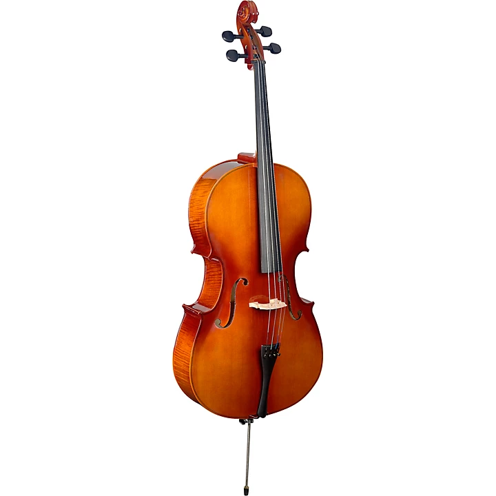 VNC L Series Student Cello Outfit 4 4