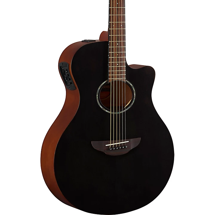 APX600M Acoustic Electric Guitar Smokey Black
