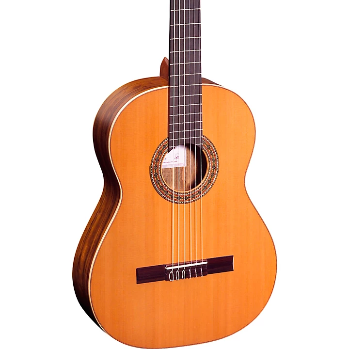 Traditional Series R220 Classical Guitar Gloss Natural 4 4