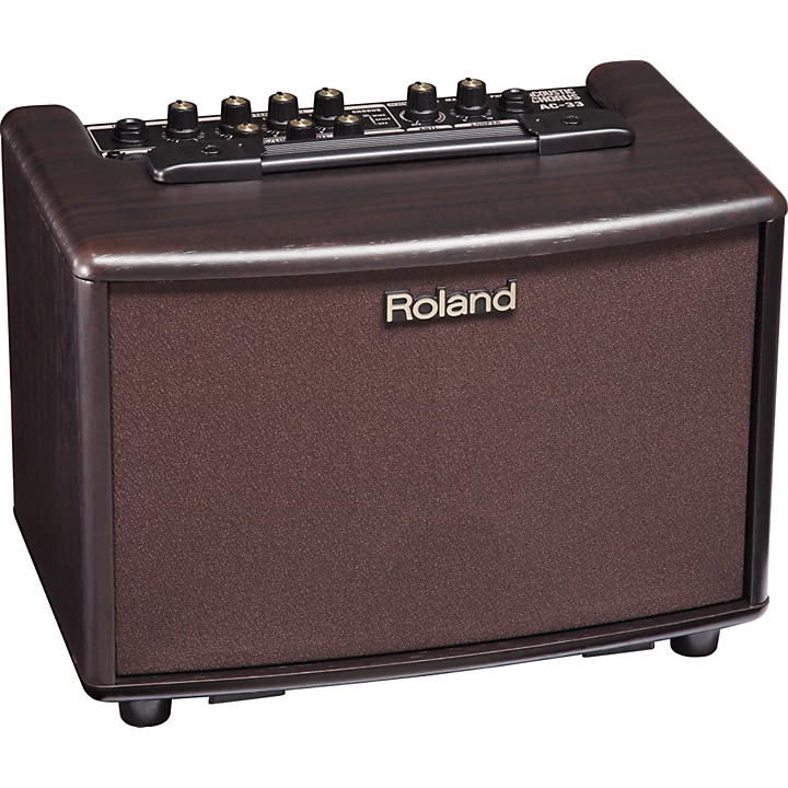 AC 33RW 30W 2x5 Acoustic Combo Amp Rosewood