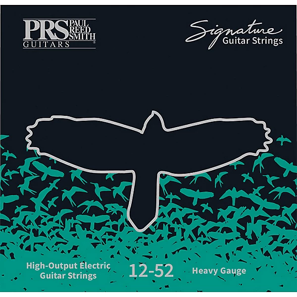 Signature Electric Guitar Strings Heavy 012 052
