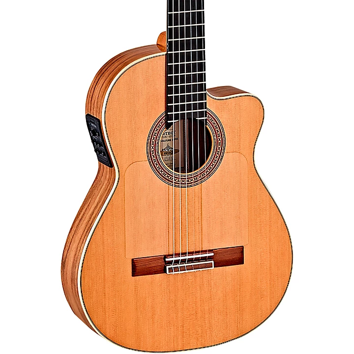 BWSM 2 Ben Woods Signature Flamenco Acoustic Electric Guitar Natural