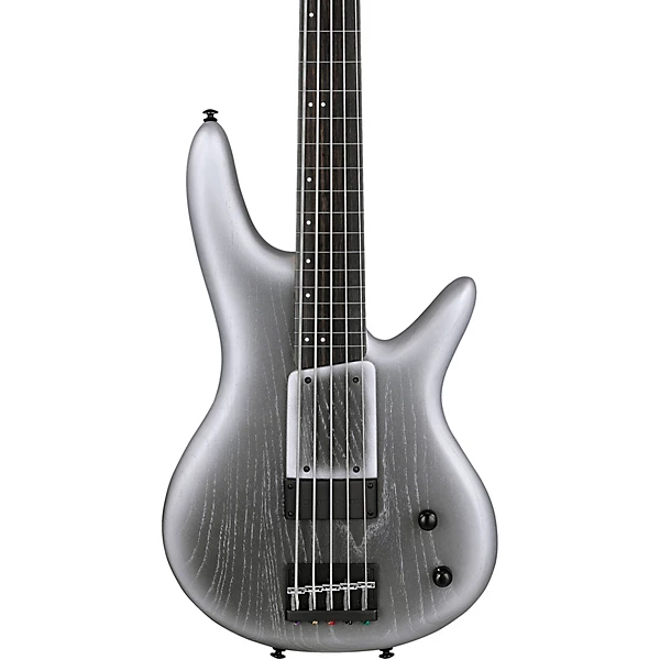 GWB25TH Gary Willis Signature 5 String Electric Bass Silver Wave Burst Flat