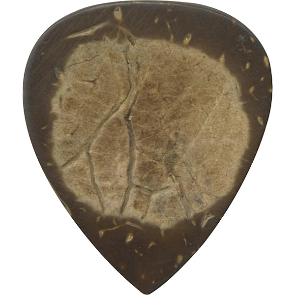 Coconut Shell Exotic Picks 3 Pack