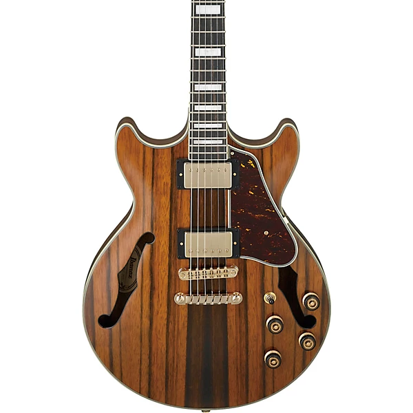AM93ME Artcore Expressionist Semi Hollow Electric Guitar Natural
