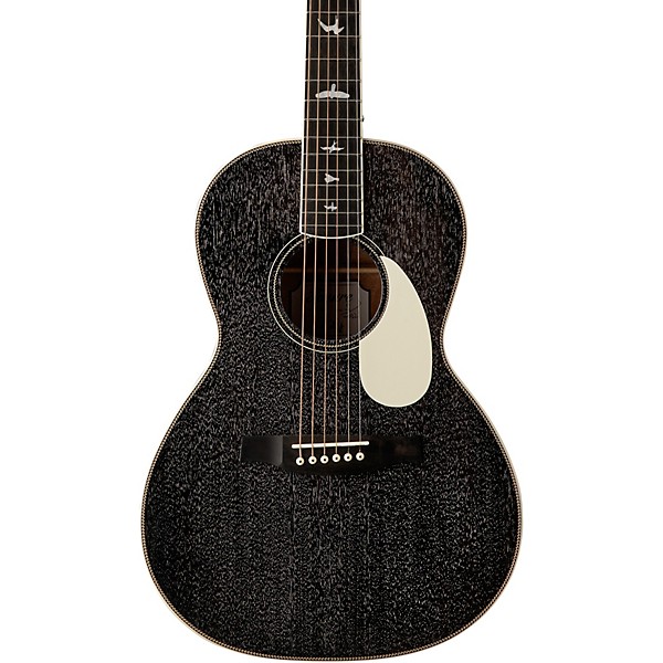 SE P20E Parlor Acoustic Electric Guitar Dog Hair