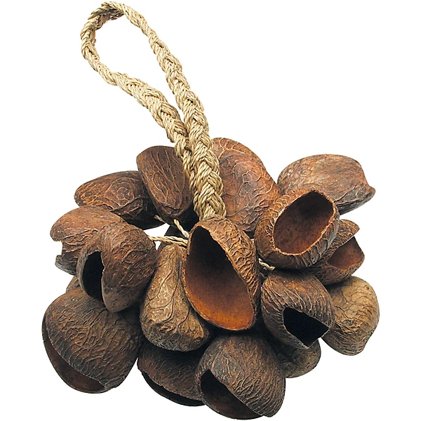 Seed Shaker