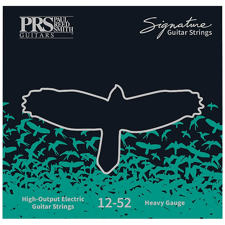 Signature Electric Guitar Strings Heavy 012 052