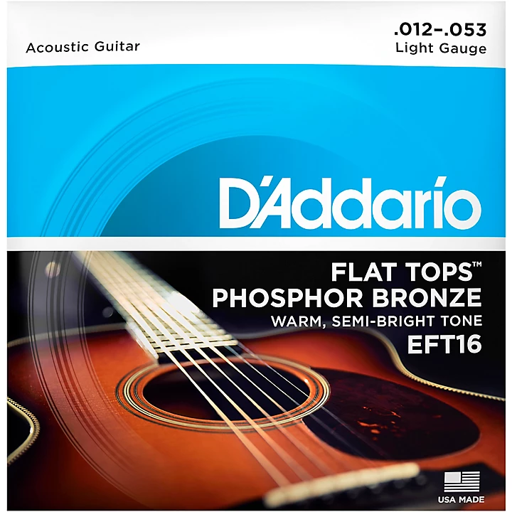 EFT16 Flat Top PB Light Acoustic Guitar Strings