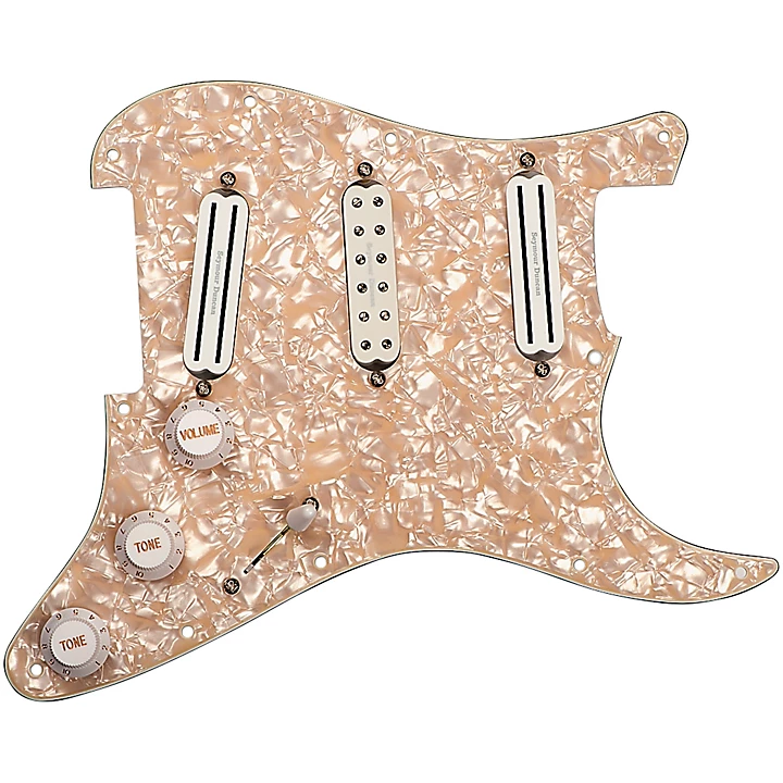 Dave Murray Loaded Pickguard