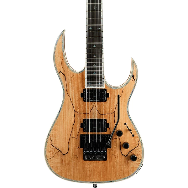 Shredzilla Prophecy Archtop with Floyd Rose Electric Guitar Spalted Maple