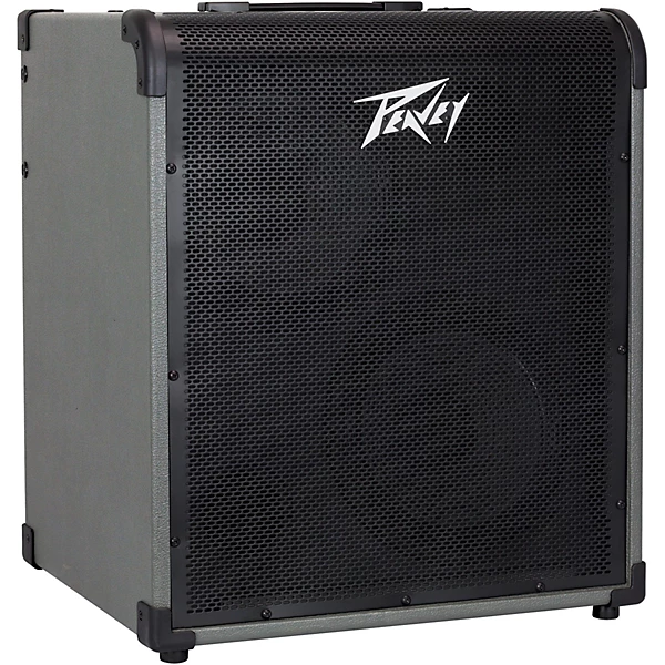 MAX 300 300W 2x10 Bass Combo Amp Gray and Black