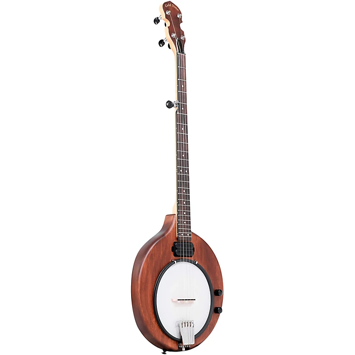 Gold Tone EB 5 Electric Banjo Level 2 Natural
