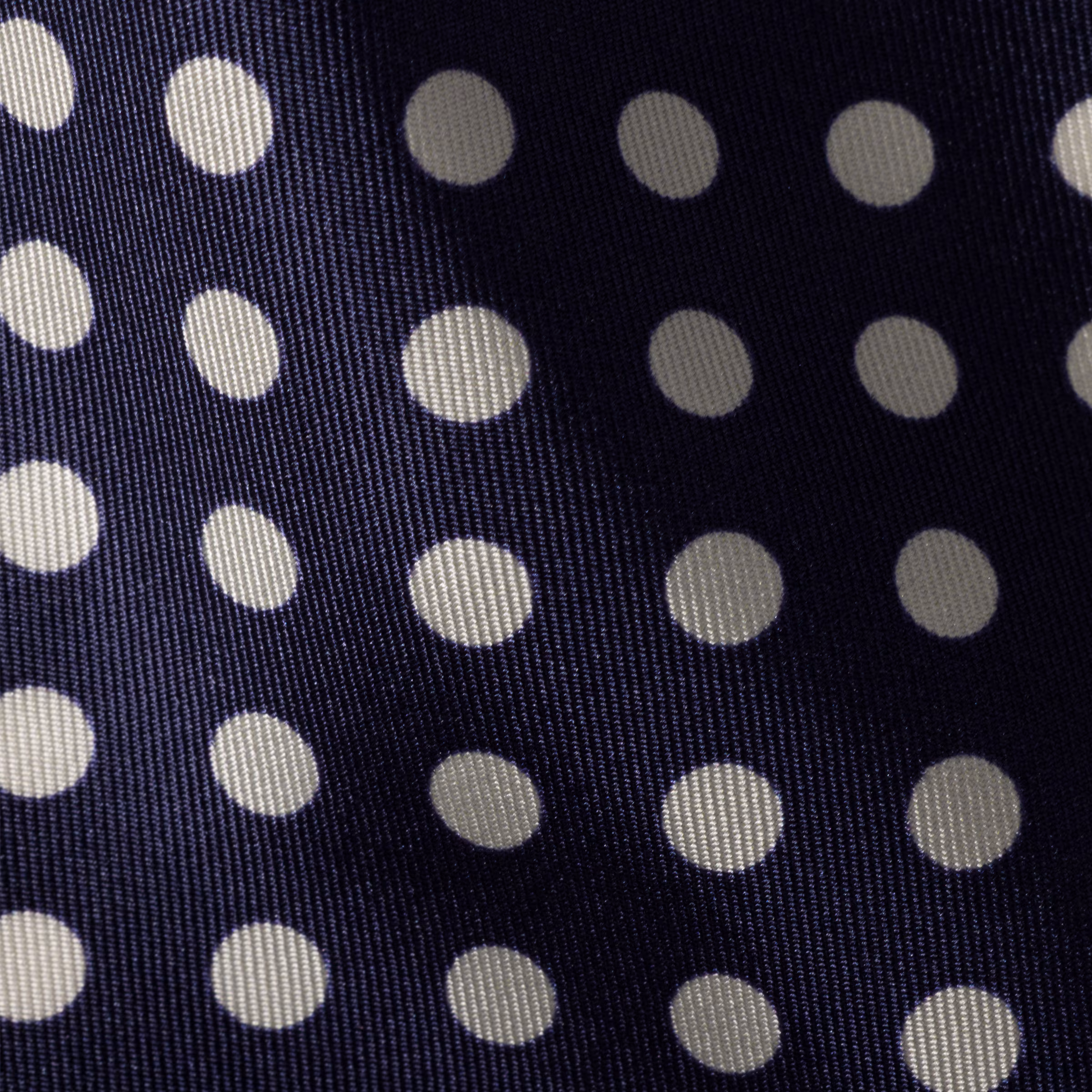 Printed Silk Twill Scarf