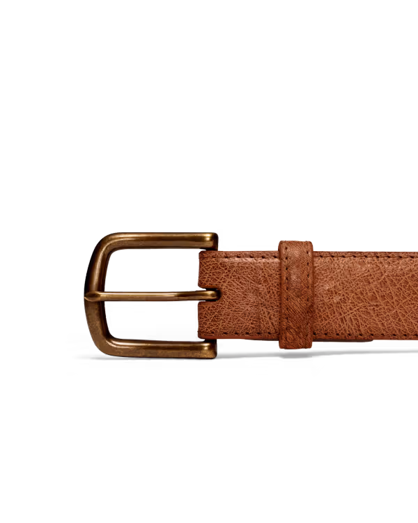 Men's Smooth Ostrich Belt