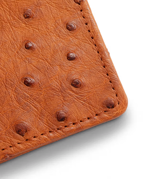 Ostrich Bifold