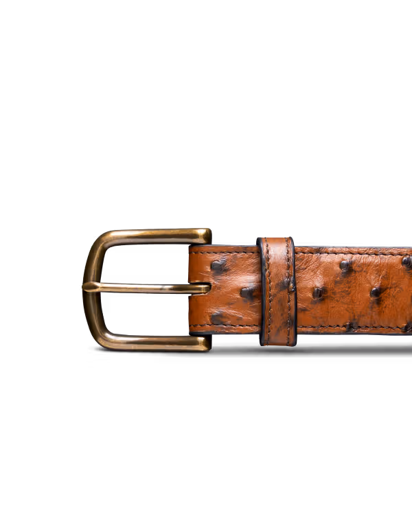 Men's Ostrich Belt