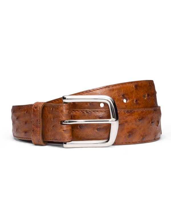 Men's Ostrich Belt