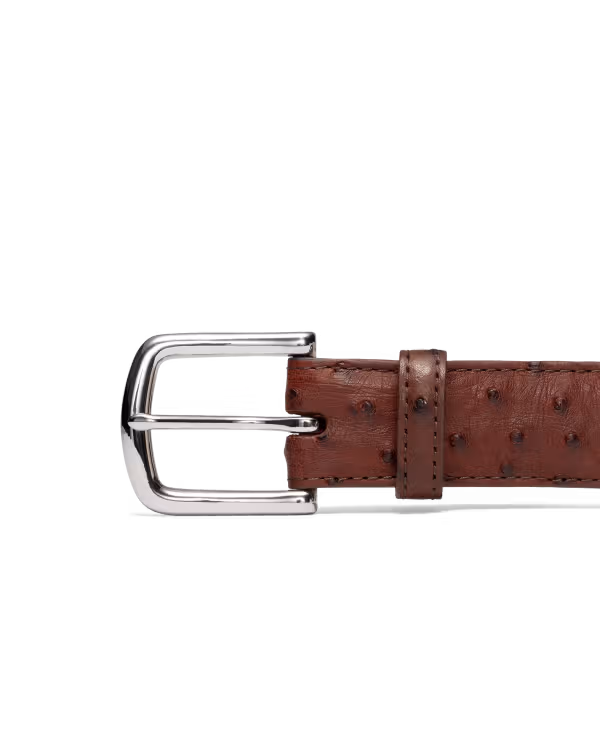 Men's Ostrich Belt
