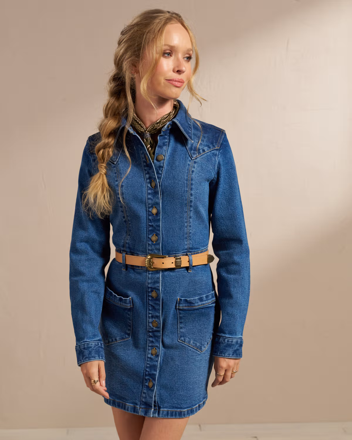 Women's Long Sleeve Denim Dress