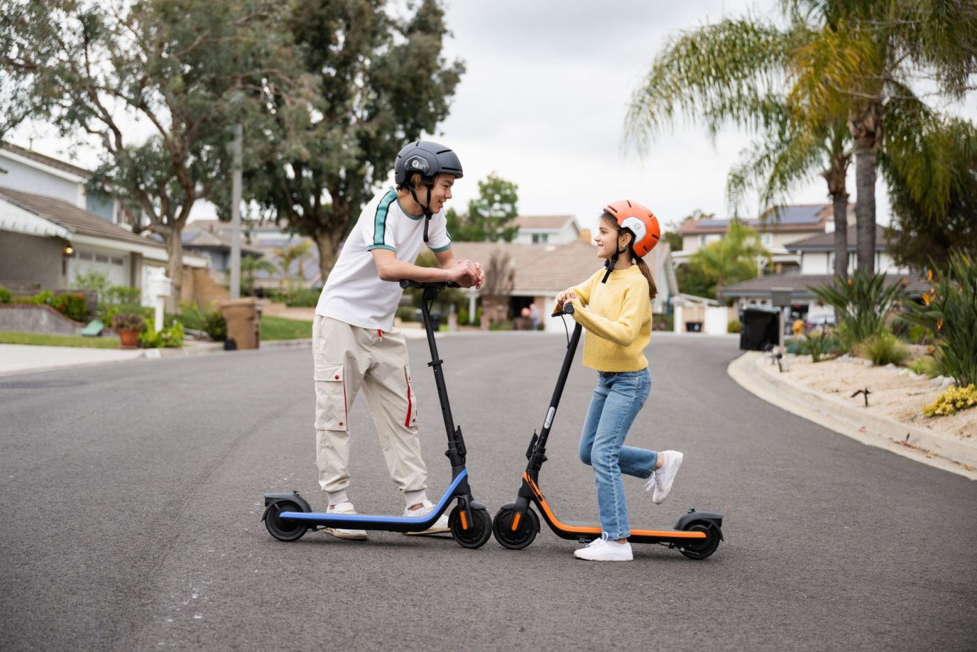 Ninebot KickScooter C2 PRO E Powered by Segway