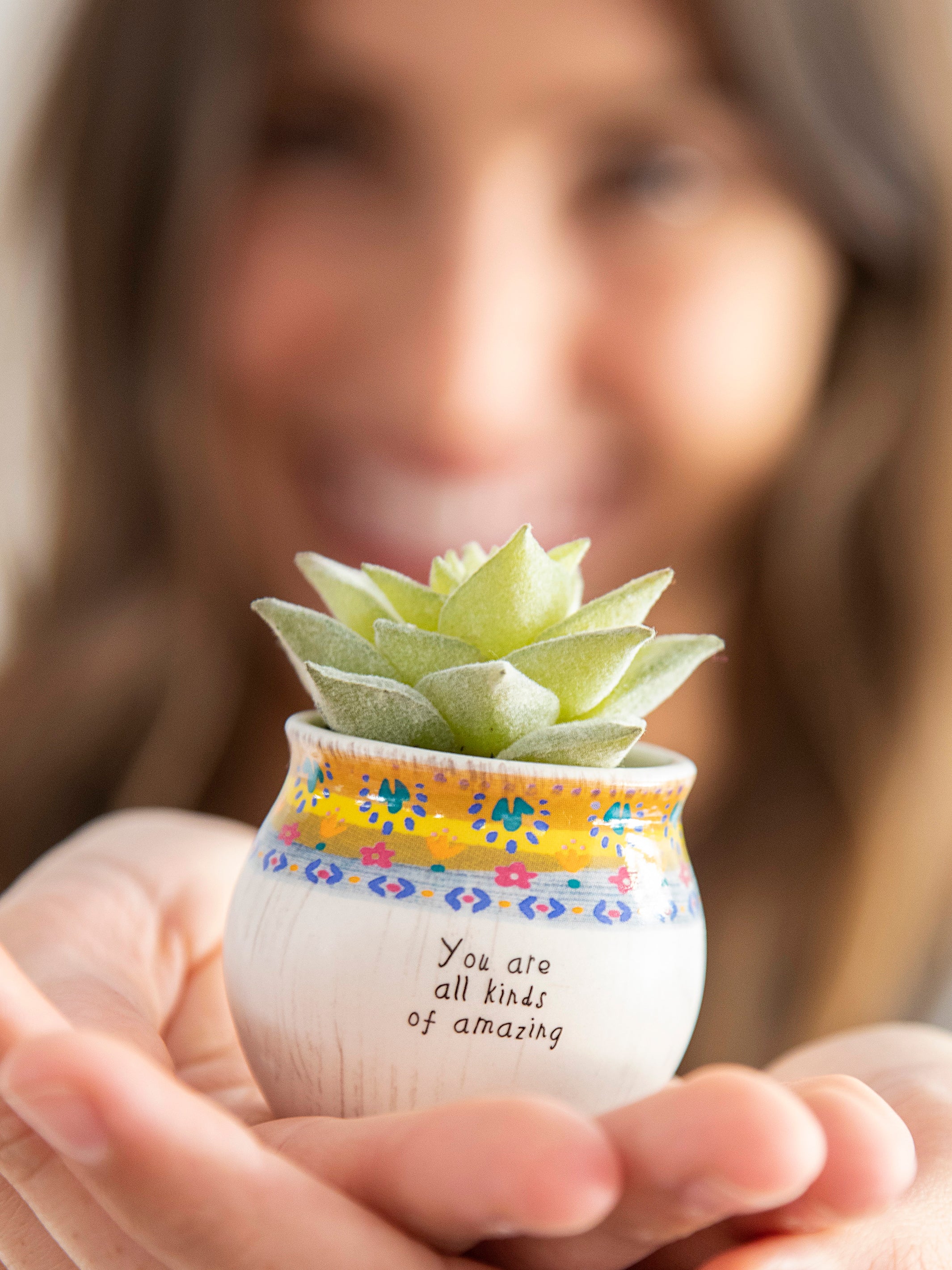 Mini Faux Succulent Plant - Amazing