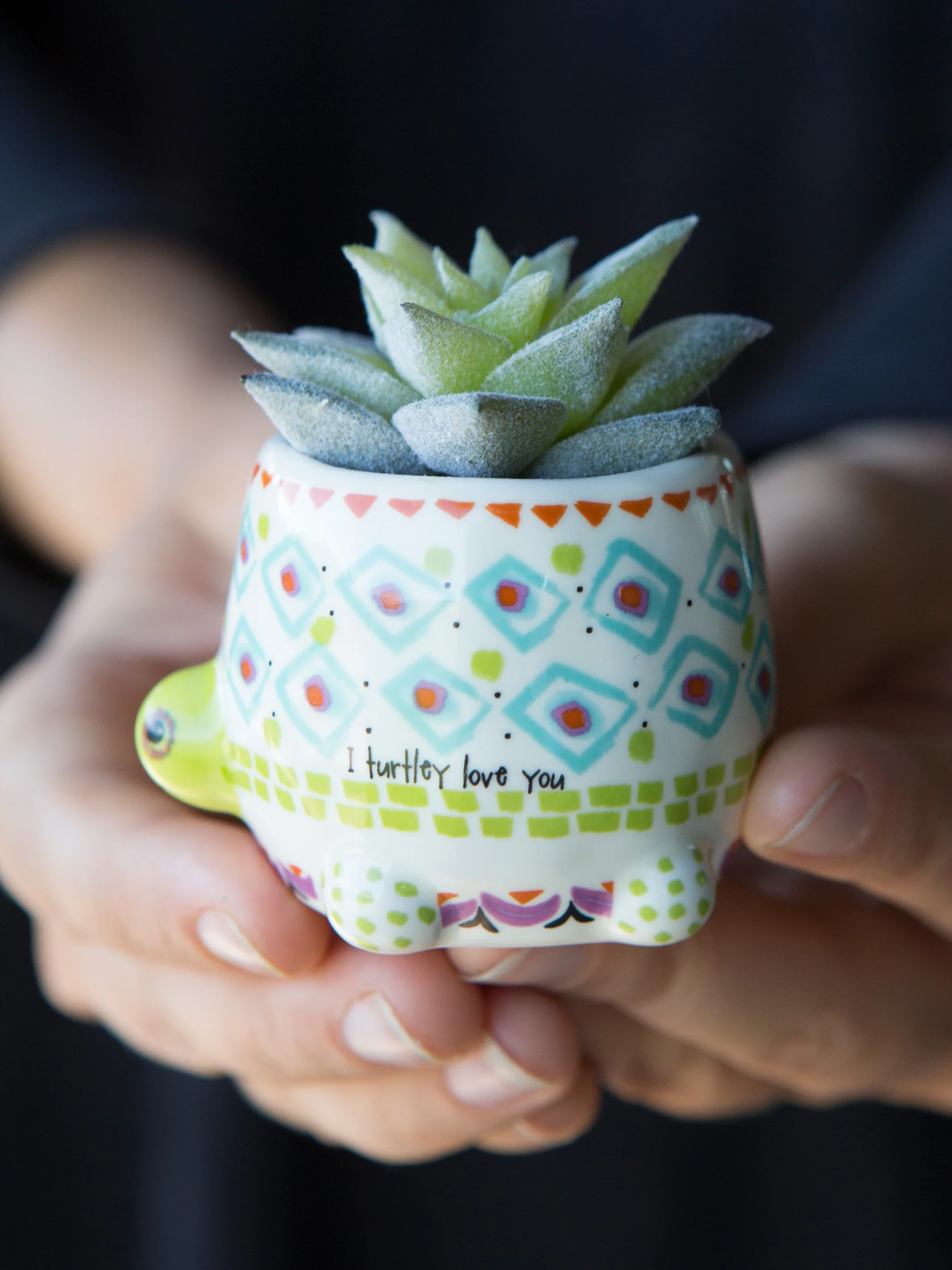 Tiny Faux Succulents - Turtle