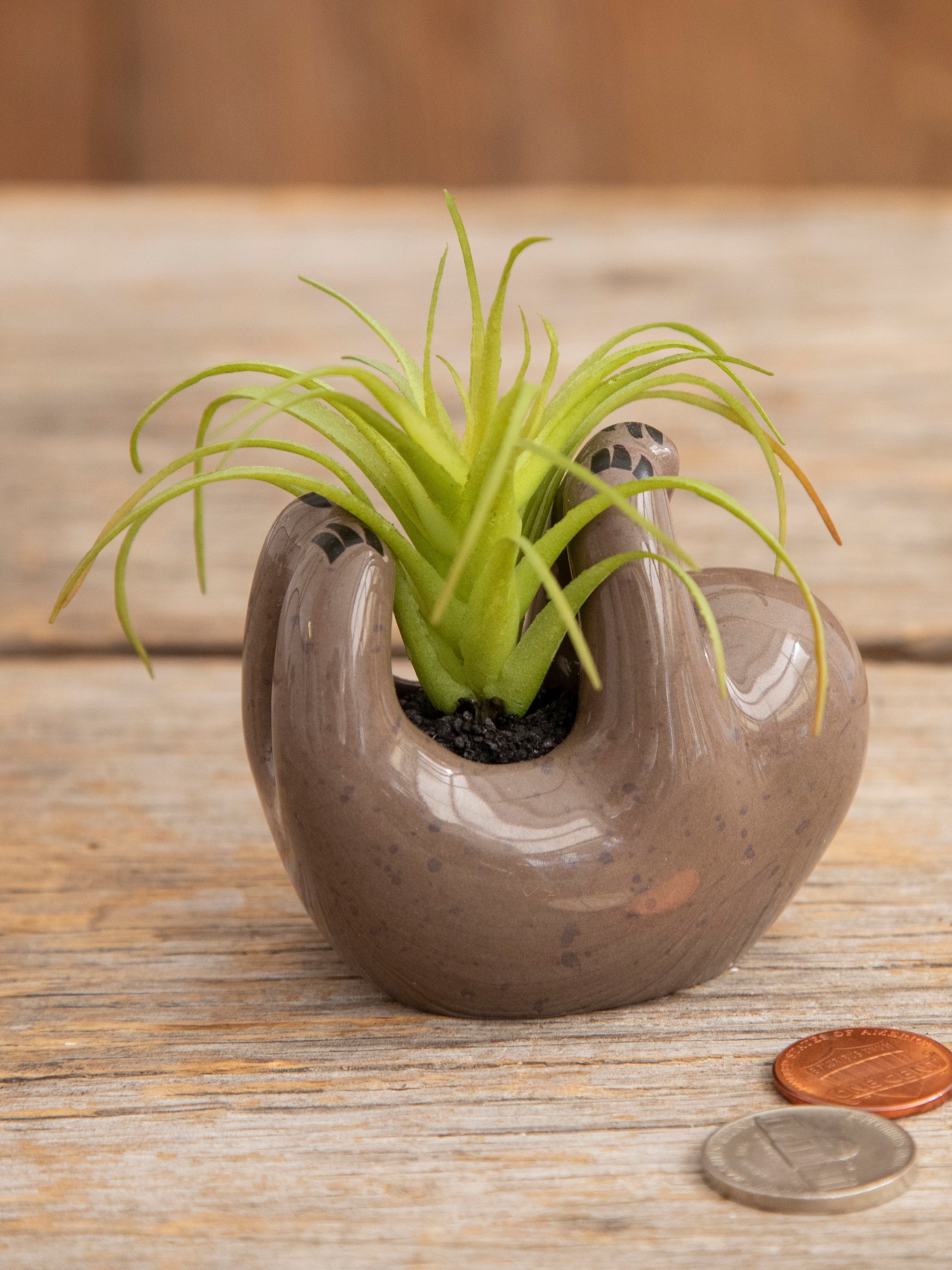 Tiny Faux Succulents - Grey Sloth
