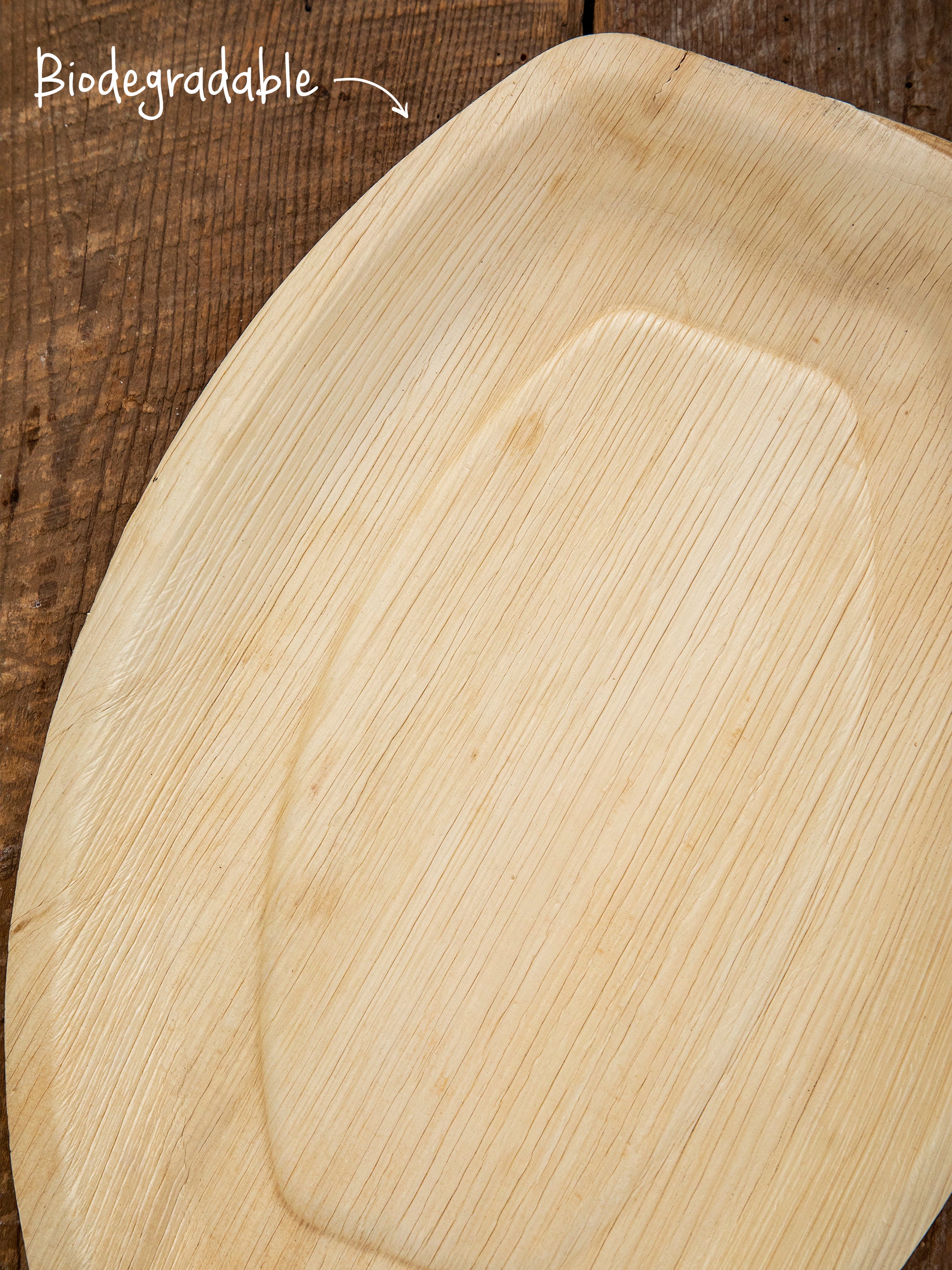 Palm Leaf Round Plates, Set of 12 - 13 Inch