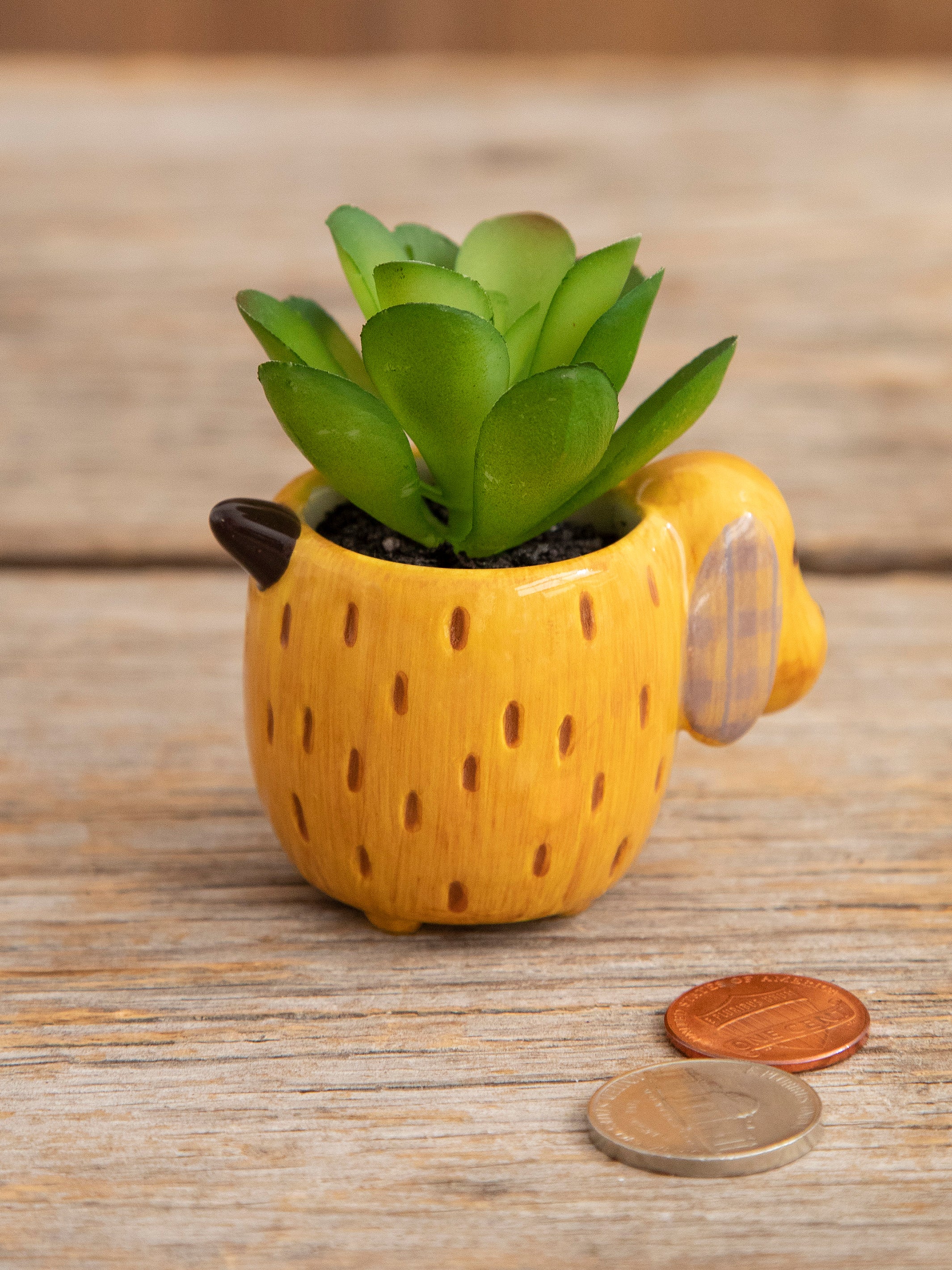 Tiny Faux Succulents - Dog