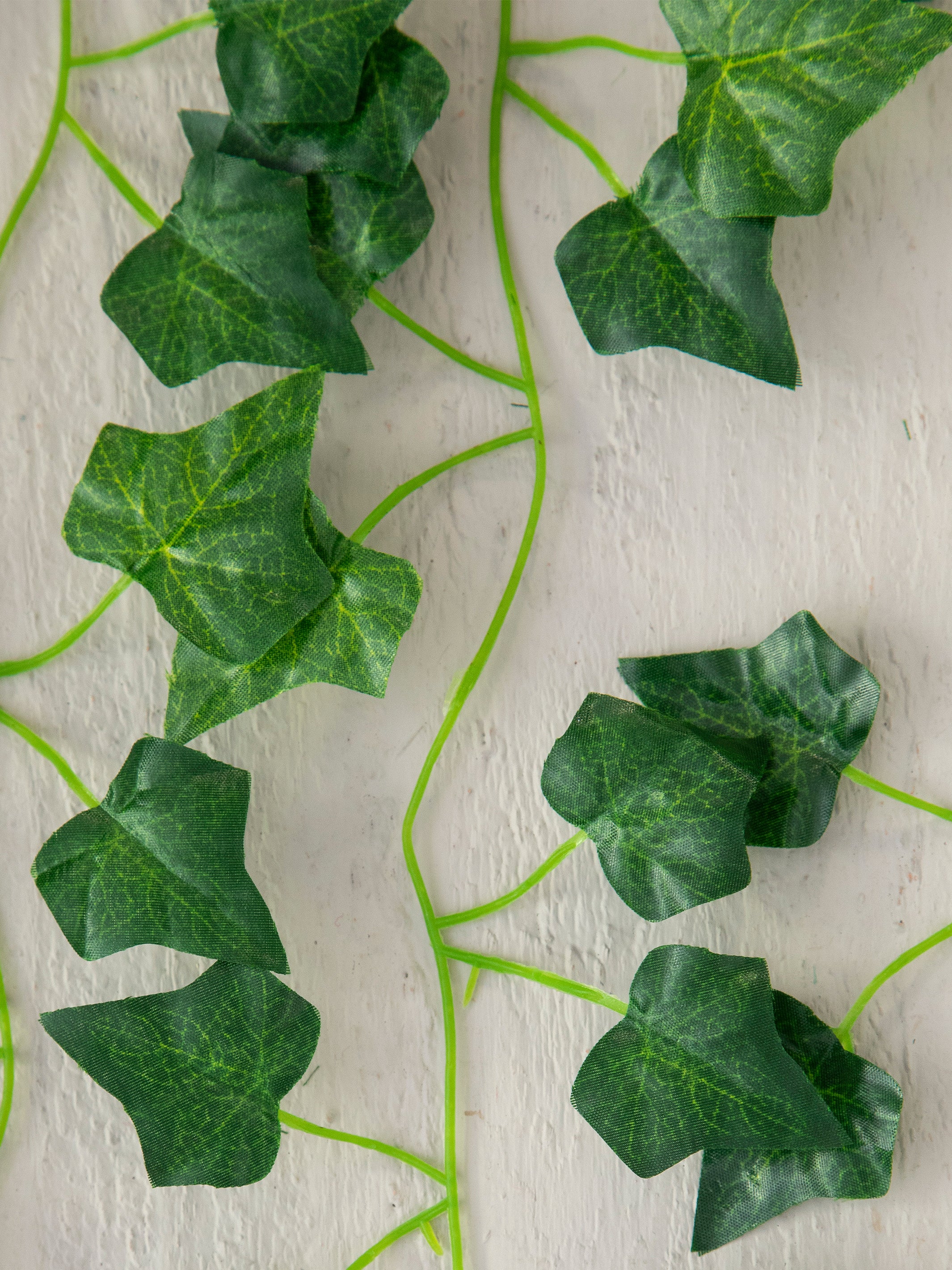 Vine Garland, Set of 5
